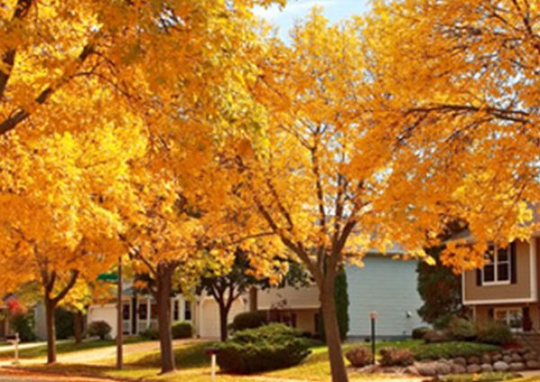 Your Fall Maintenance Guide & Checklist