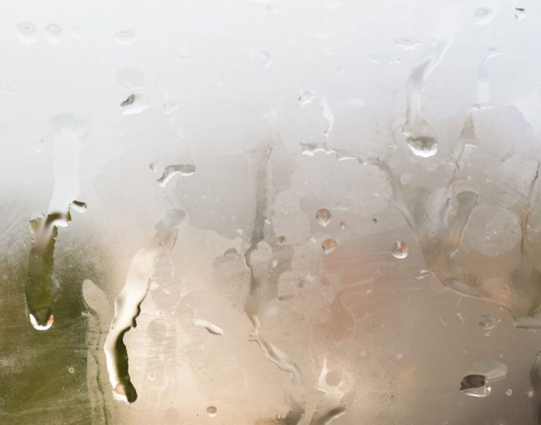 What Causes Foggy Windows? Cloudy Window Solutions for Your House