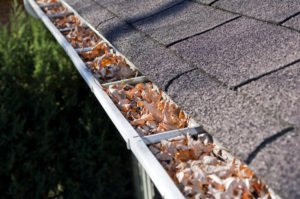 Fall Home Maintenance: Leaves Clog Gutters