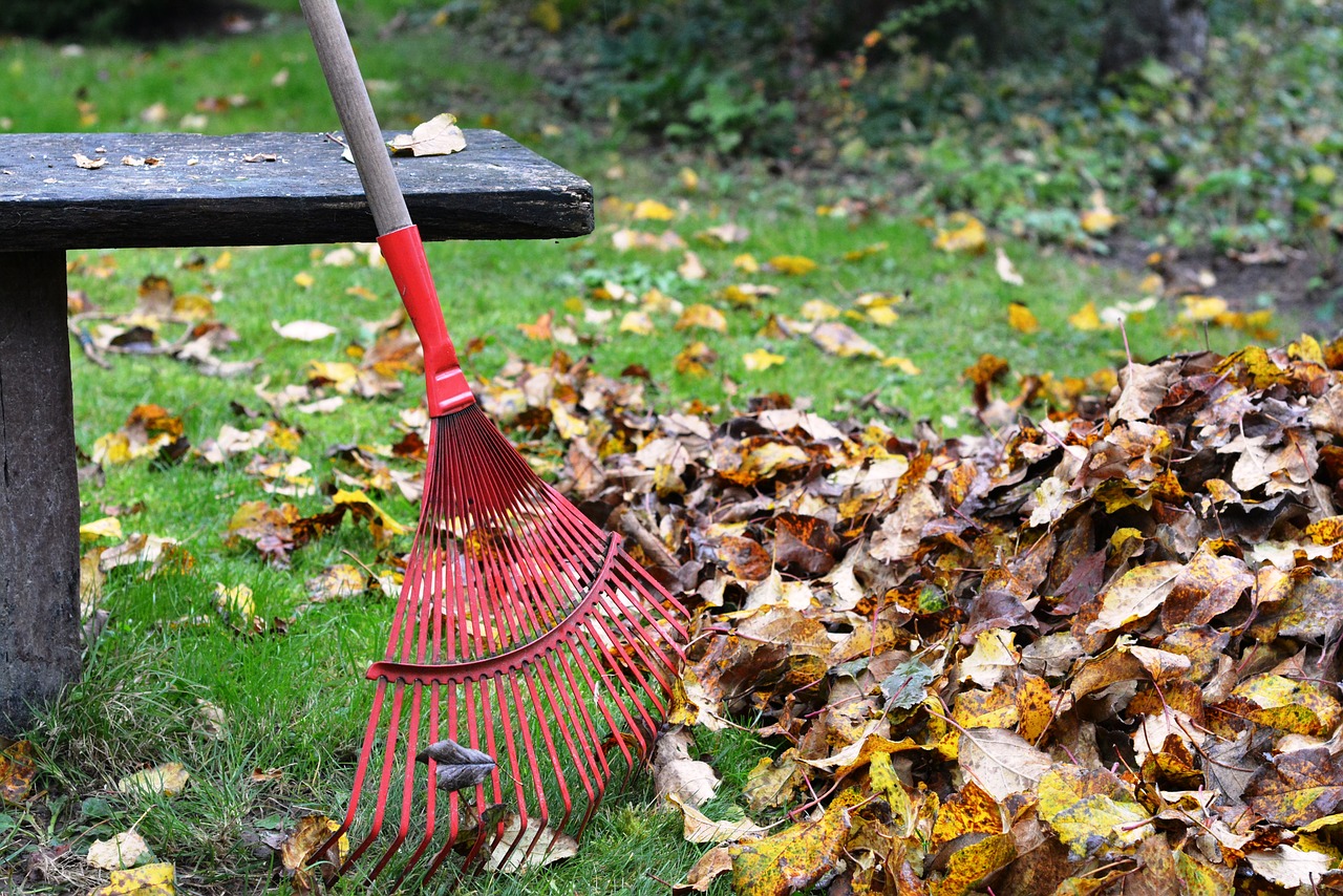 Raking Leaves Fall Home Maintenance