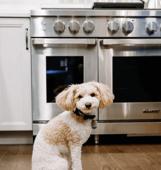 Founders Way Kitchen Remodel