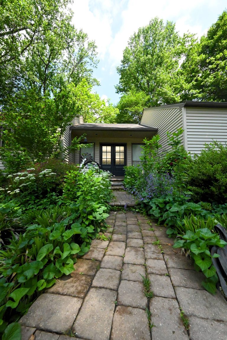 d0e9df9f-0622-4edc-95e8-f39fbfa5d9cc